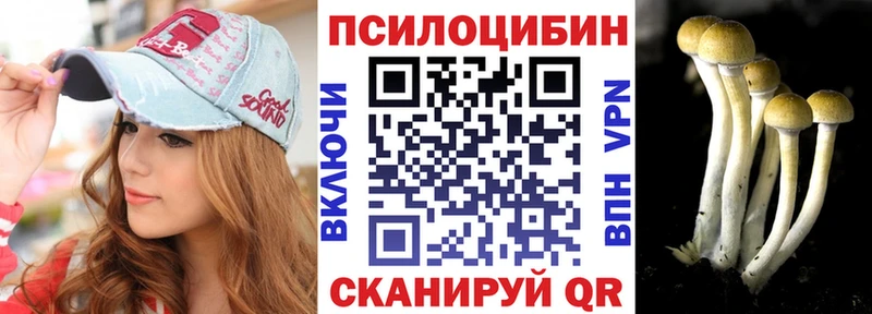 Купить закладки  Чебаркуль  Псилоцибиновые грибы GOLDEN TEACHER 