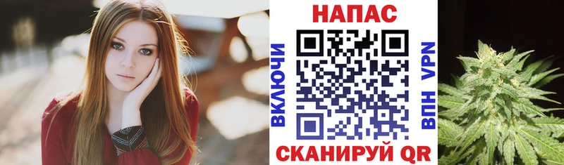 Канабис конопля Купить где Чебаркуль